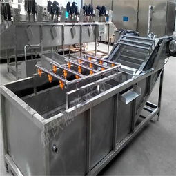 山东盛跃 蔬菜清洗输送链板输送机中国机械设备制造基地